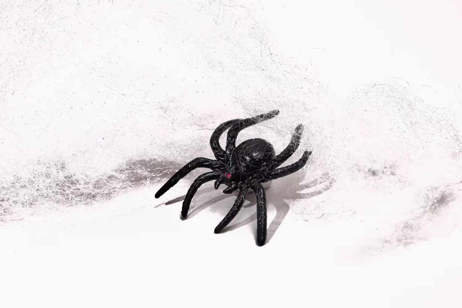 Webs